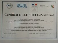Buy Original TEF certificate in Canada, Buy DELF Certificate in France. WhatsApp : +31 6 87546855