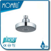 more images of water efficient shower heads P25576
