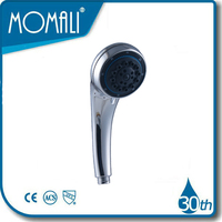 more images of hand held shower heads P25006