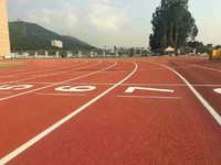 more images of Athletic running track