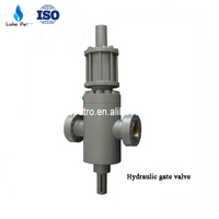 Api 6A hydraulic gate valve 20000 psi