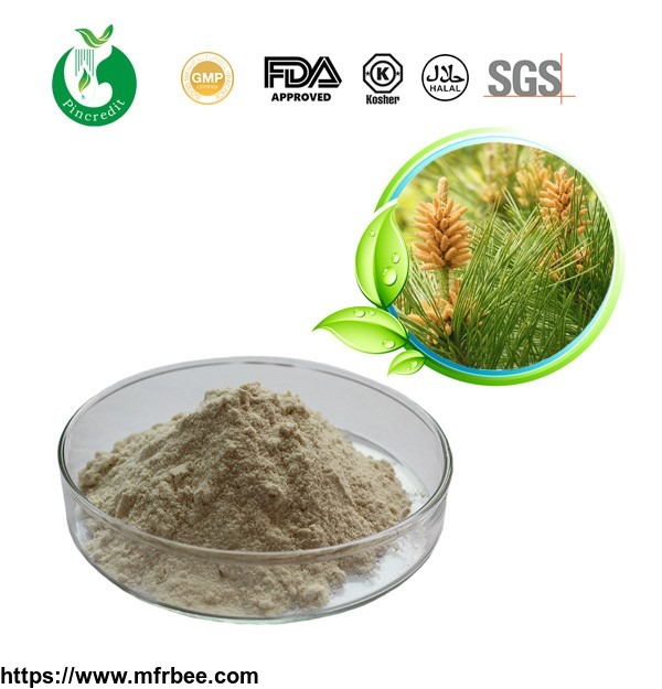 pine_pollen_powder_best_price_and_free_shipping