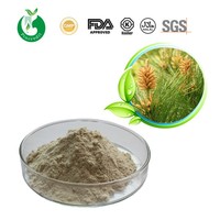 Pine Pollen Powder Best Price and Free Shipping