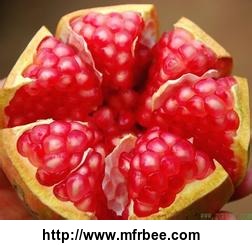 organic_pomegranate_fruit_powder