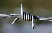 more images of Barbed wire