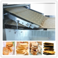 more images of SAIHENG electric pizza oven