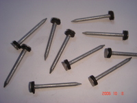 more images of Grip Cap-Plastic Roofing Nails
