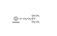 IonSep DEAE 52 Cellulose DE52