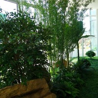 more images of Artificial Bamboo Tree