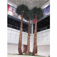 more images of Preserved Washignton Palm