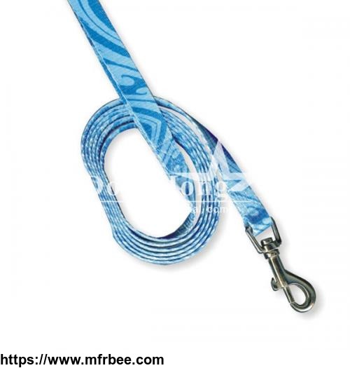 pet_collar_and_leash