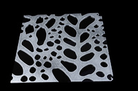 more images of Perforate Design Plate