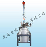 more images of Magnetic stirring stainless steel reactor