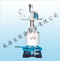 more images of WHFS Lab series magnetic stirring reactor