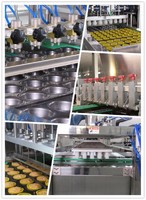 Professional Cake Production Line-yufeng