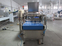 in Line Injecting Machine-yufeng