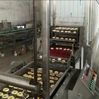 Large capacity full automatic yeast doughnut production line——YuFeng