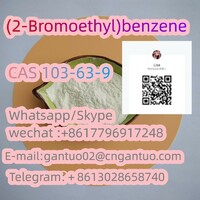 Hot Special GS-441524 CAS.1191237-69-0 injection tablet CAS 119276-01-6