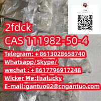 Spot supply Safety delivery CAS 91393-49-6 2-(2-Chlorophenyl)-cyclohexanone CAS 14176-50-2