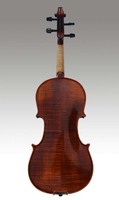 Middle grade violin