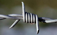 more images of Barbed wire for security fencing