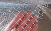 more images of Welded Wire Mesh  Rolls