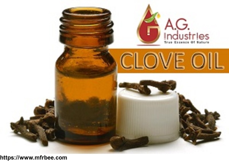 natural_clove_essential_oil_manufacturer_india