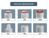 PES Membrane Micron Filters Pleated Depth Filter Cartridges