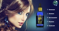 more images of Moroccan blue tansy essential oil company