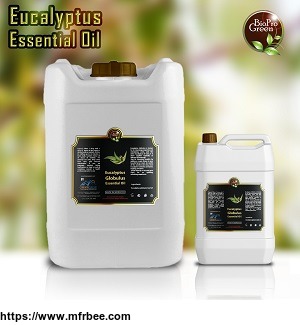 clove_essential_oil_