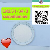 CAS 51-34-3    Scopolamine   Wickr/Telegram: rcmaria