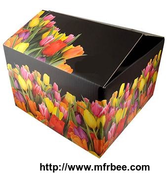gift_cardboard_packaging_boxes
