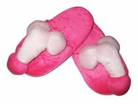 Pecker Slippers/ A super fun novelty willy slippers