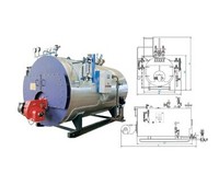 more images of Natural Gas Fired Hot Water Boiler