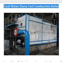 Coal Water Slurry Fuel Combustion Boiler