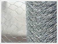 Hexagonal Wire Netting Usages, Types, Finishes, Specifications