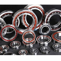 more images of Double Row Angular Contact Ball Bearing