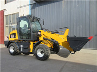Cheap mini loader with price small wheel loader for farm