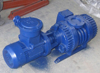 more images of ZJ150 Roots Vacuum Pump