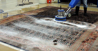 more images of Rug Cleaning Adelaide