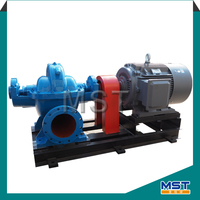 Large/High Volume Sea Water Pump,Water Suction Pumps,Double Suction Centrifugal Pump/Split Case Pump
