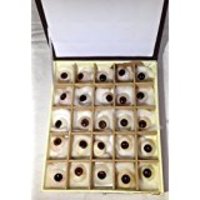 more images of Artificial Eyes Any Colour (Box of 25 Eyes)