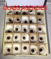 more images of Artificial Eyes Any Colour (Box of 25 Eyes)