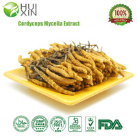 Cordyceps Mycelia Extract