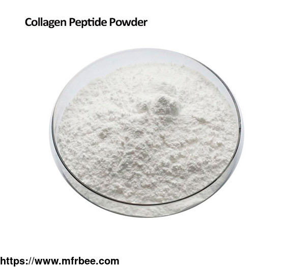 porcine_collagen_peptide
