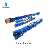 Downhole Motor for oilfield drilling tools