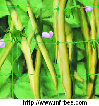 plant_support_netting_supports_crops_and_flowers