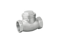 more images of Swing Type Check Valve