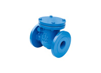 ZHMIS-D1 DIN 3202 Swing Type Check Valves Flanged End