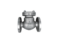 more images of ZHMSS-A1 SS Body Swing Type Check Valves Flanged End